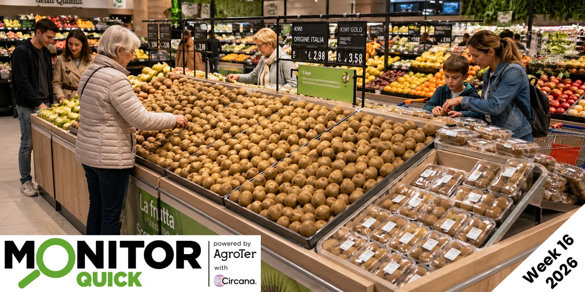 Ortofrutta in calo, ma il kiwi corre a doppia cifra